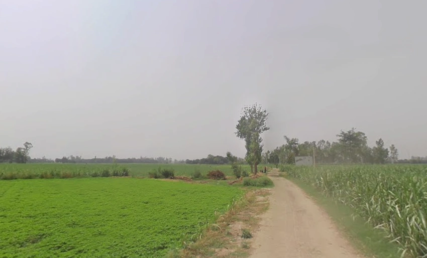 4V8G+677, Mawana Khurd, Uttar Pradesh 250401, India