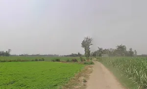 4V8G+677, Mawana Khurd, Uttar Pradesh 250401, India preview 2