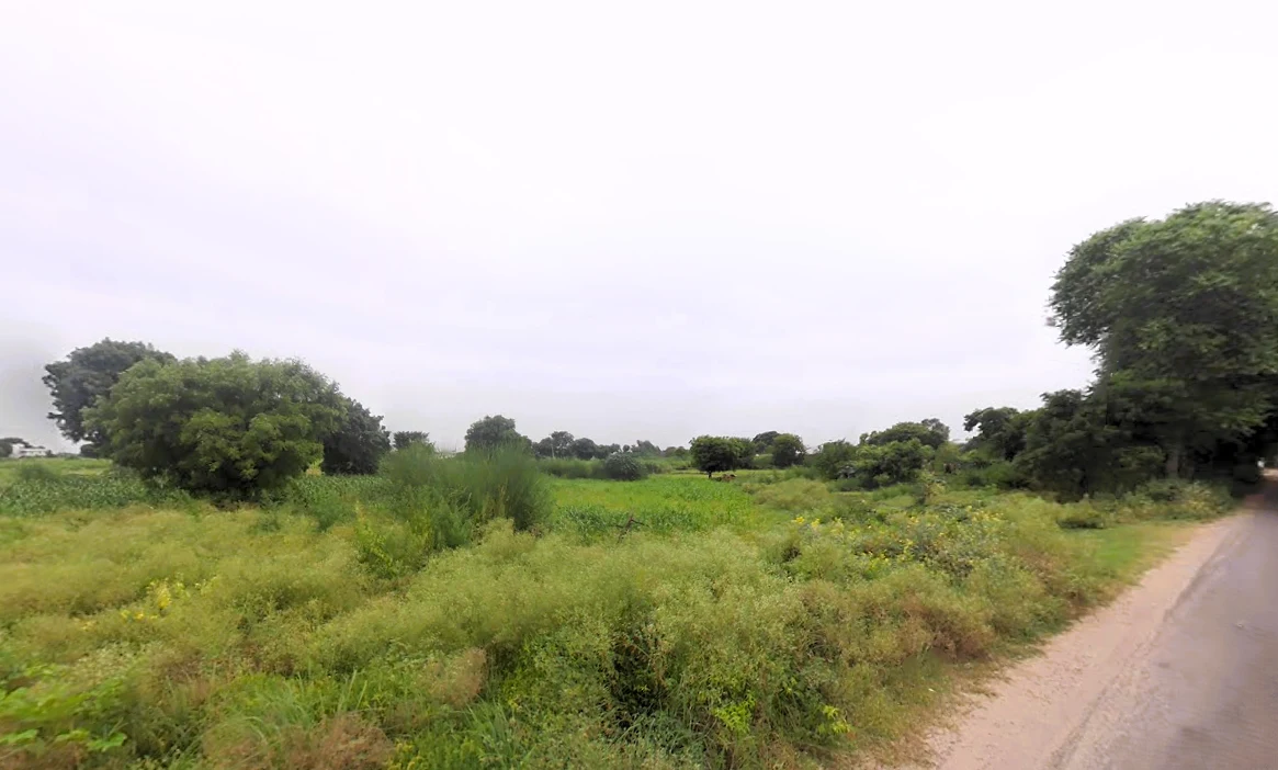 Central Park Flower Valley, J 016, Sector 32/33, Sohna, Haryana 122103, India