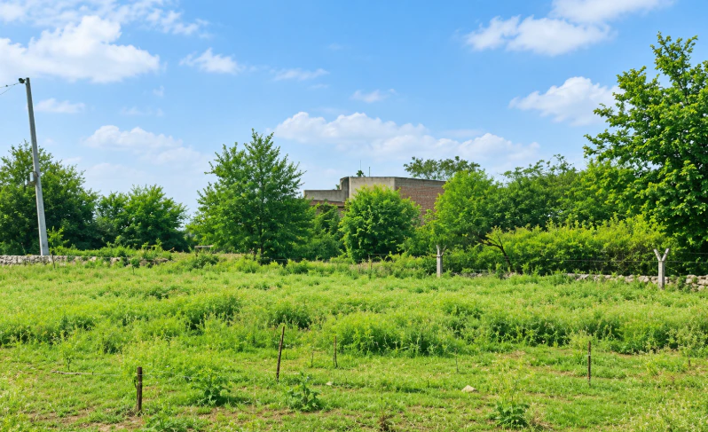 7595+JG2, Kota, Sultanpur, Rajasthan 325204, India