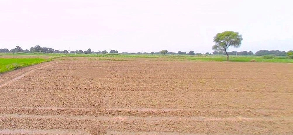 Bareilly, Uttar Pradesh, India