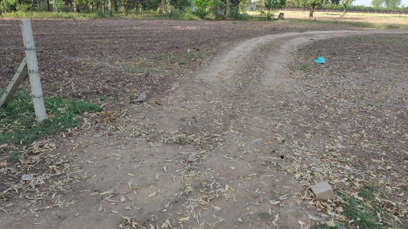 Dhakoli, Sahibzada Ajit Singh Nagar, Zirakpur, Punjab, India