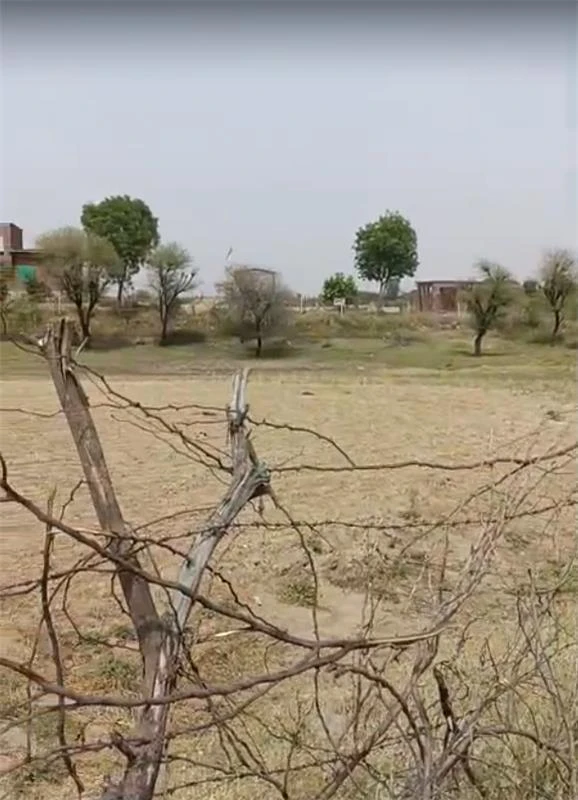 555 & 556, Distt, Mahela, Nasnoda, Jaipur, Rajasthan 303007, India