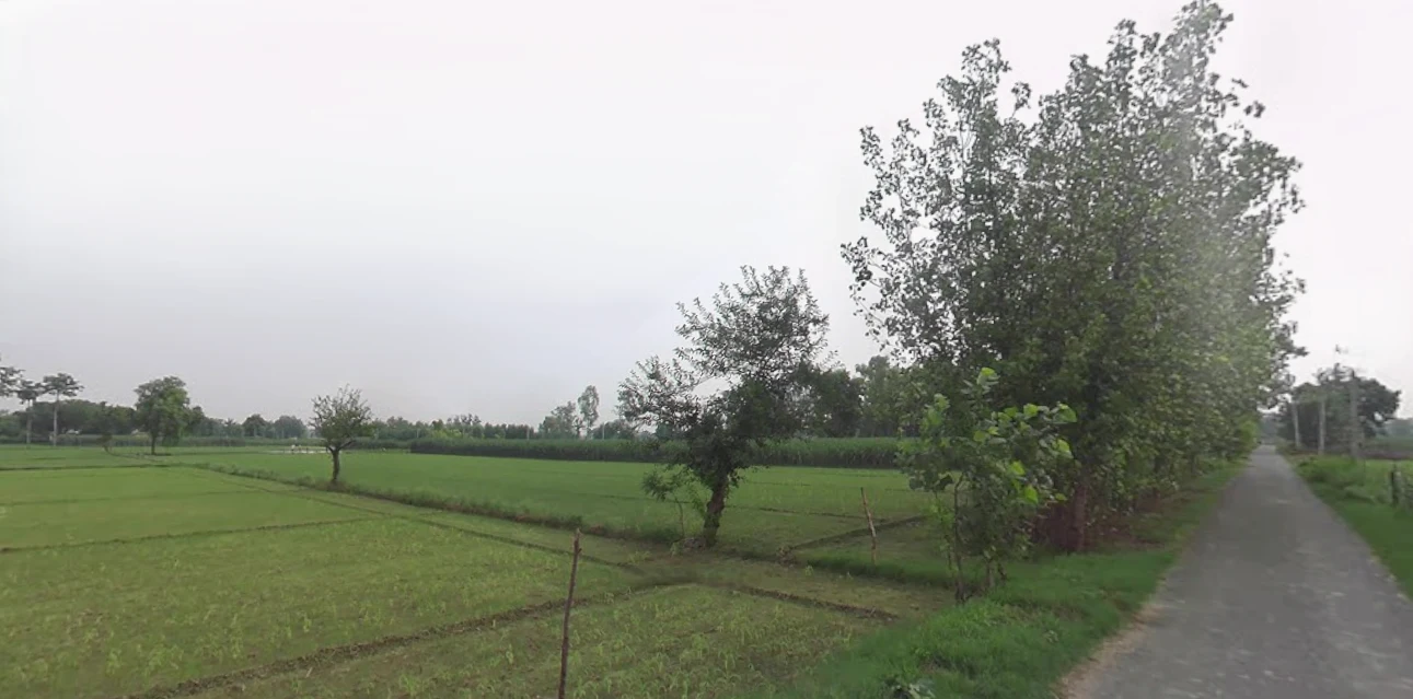 Mohanlalganj, Uttar Pradesh 226301, India preview 3