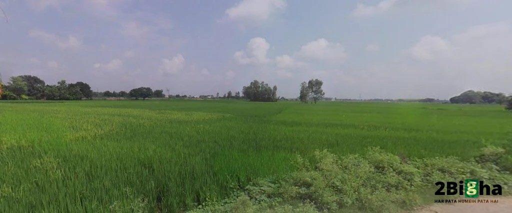 Sonaee Kazehra, Uttar Pradesh, India