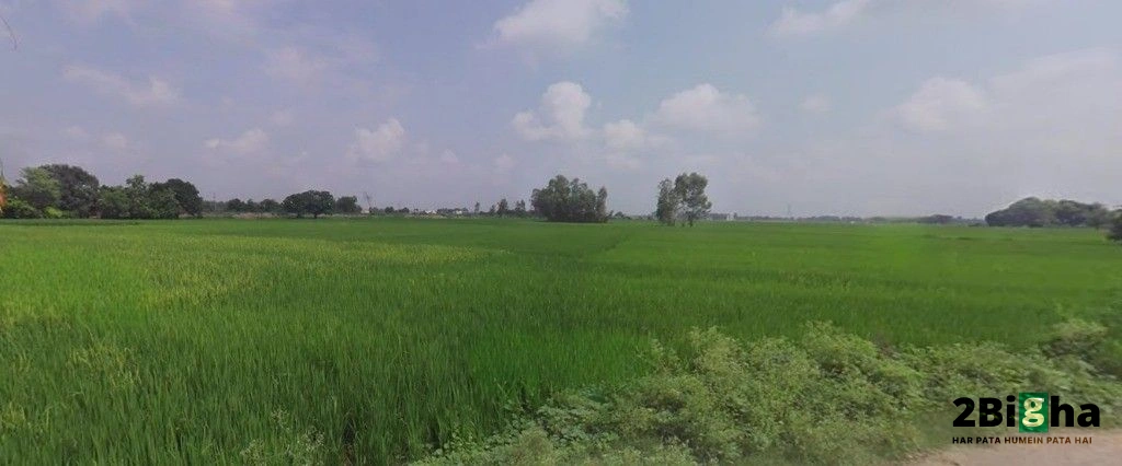 Sonaee Kazehra, Uttar Pradesh, India