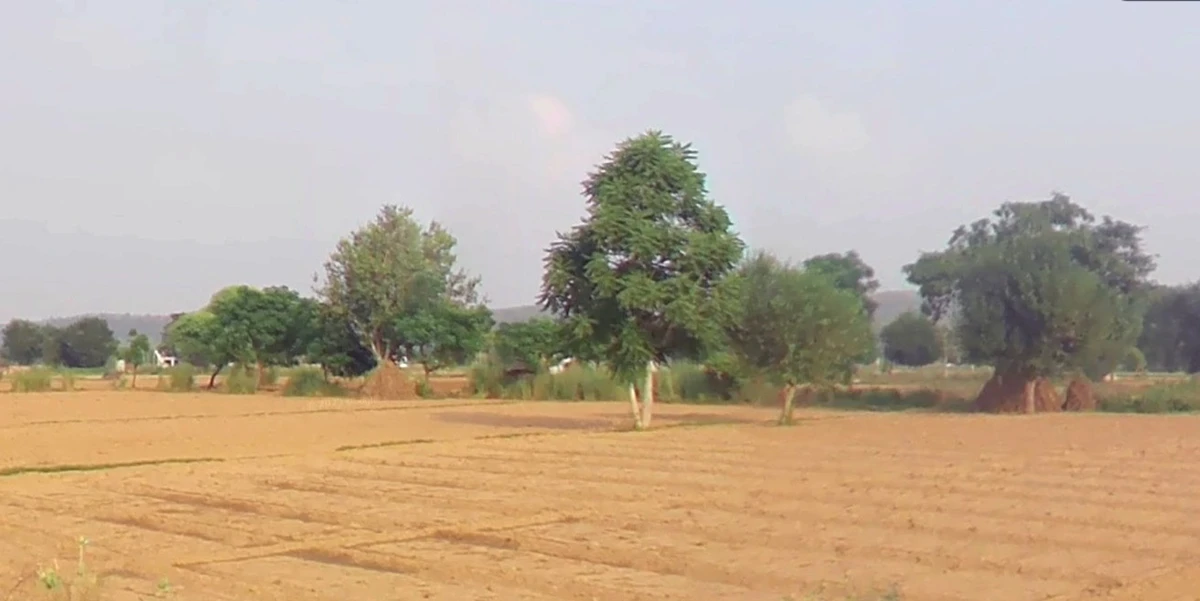 Alwar, Rajasthan, India