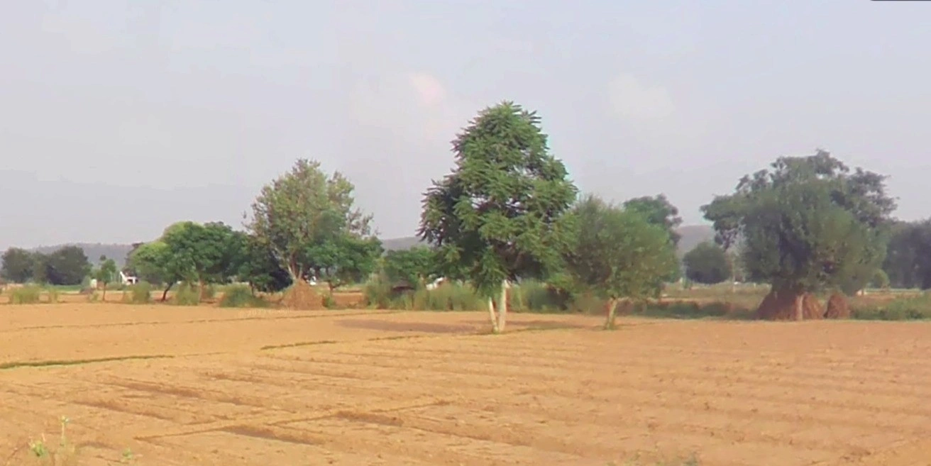 Alwar, Rajasthan, India