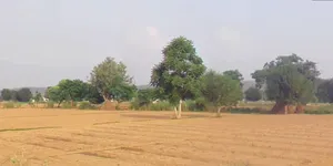 Alwar, Rajasthan, India preview 2