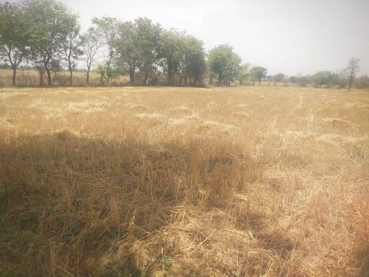 Gyaraspur, Madhya Pradesh 464331, India