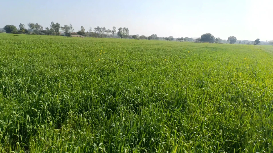 Ganj Basoda, Madhya Pradesh 464221, India
