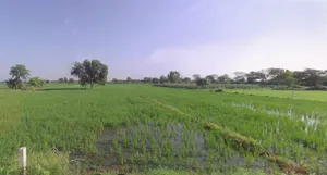 Barrackpore, West Bengal, India preview 2