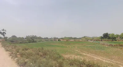 Dera Mandi, New Delhi, India preview 2