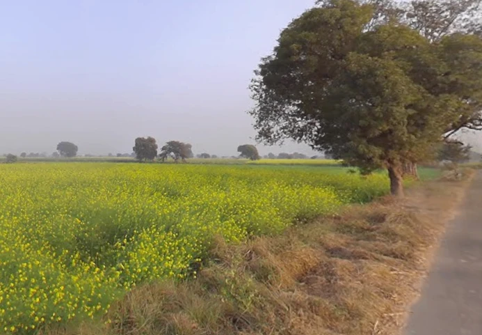 Bichpuri, Uttar Pradesh 283105, India
