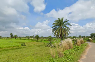 Kashipur, West Bengal 723132, India preview 3