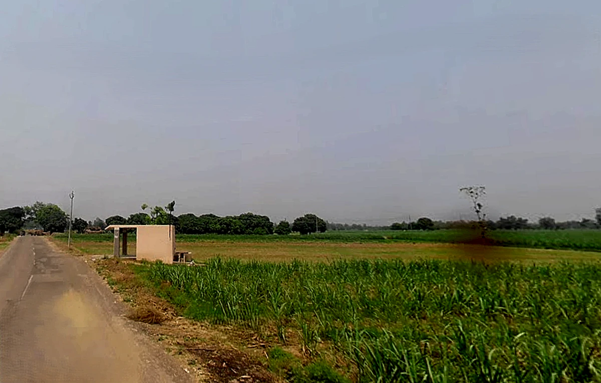 Kithaur, Uttar Pradesh 250104, India