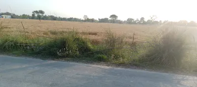 Barnagar, Madhya Pradesh 456771, India preview 2