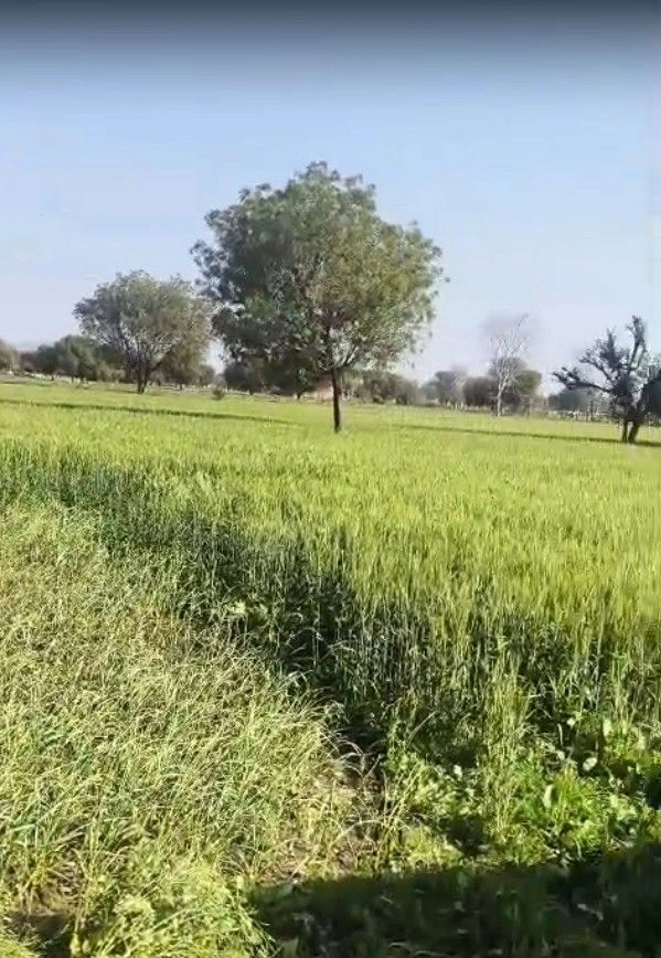 Machari, Rajasthan 301408, India preview 2