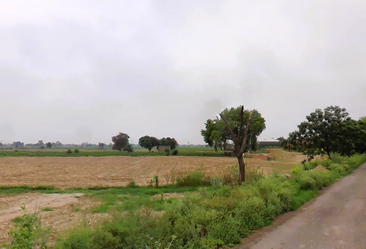 Barwala, Haryana 125121, India