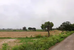 Barwala, Haryana 125121, India preview 2
