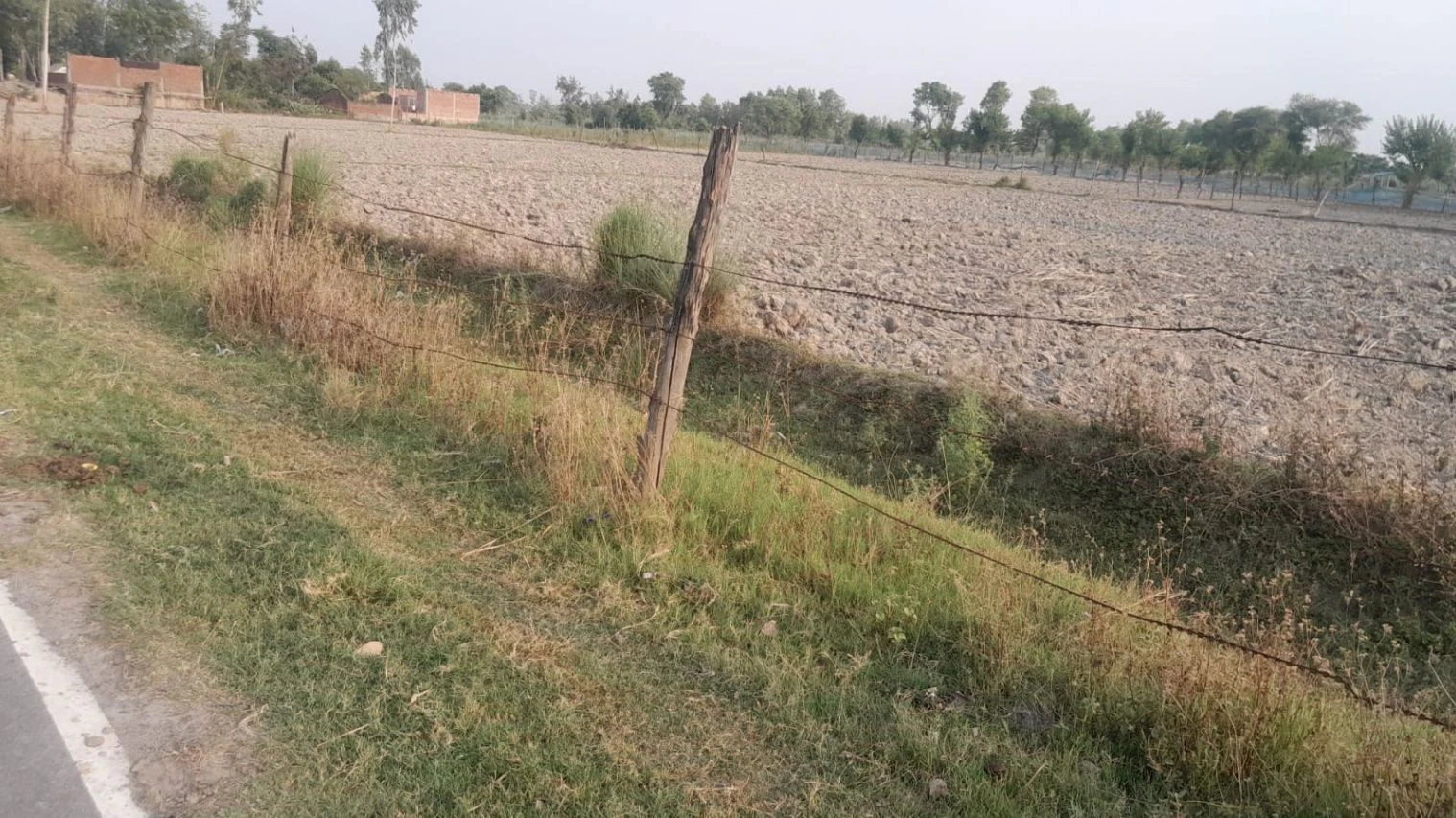 M38G+RMP, Taksara, Uttar Pradesh 224284, India
