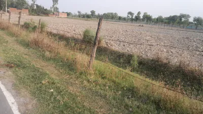 M38G+RMP, Taksara, Uttar Pradesh 224284, India preview 2