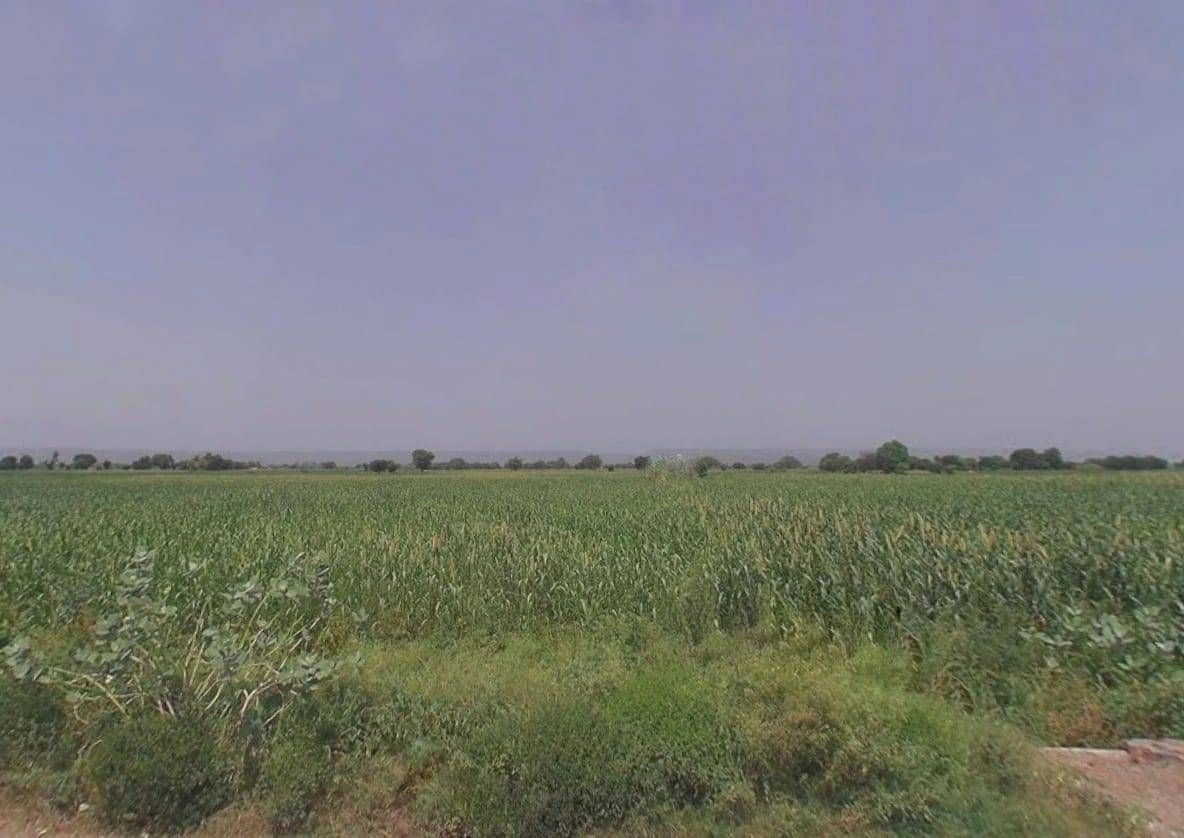 QXQC+XJ Ferozepur Jhirka Rural, Haryana, India