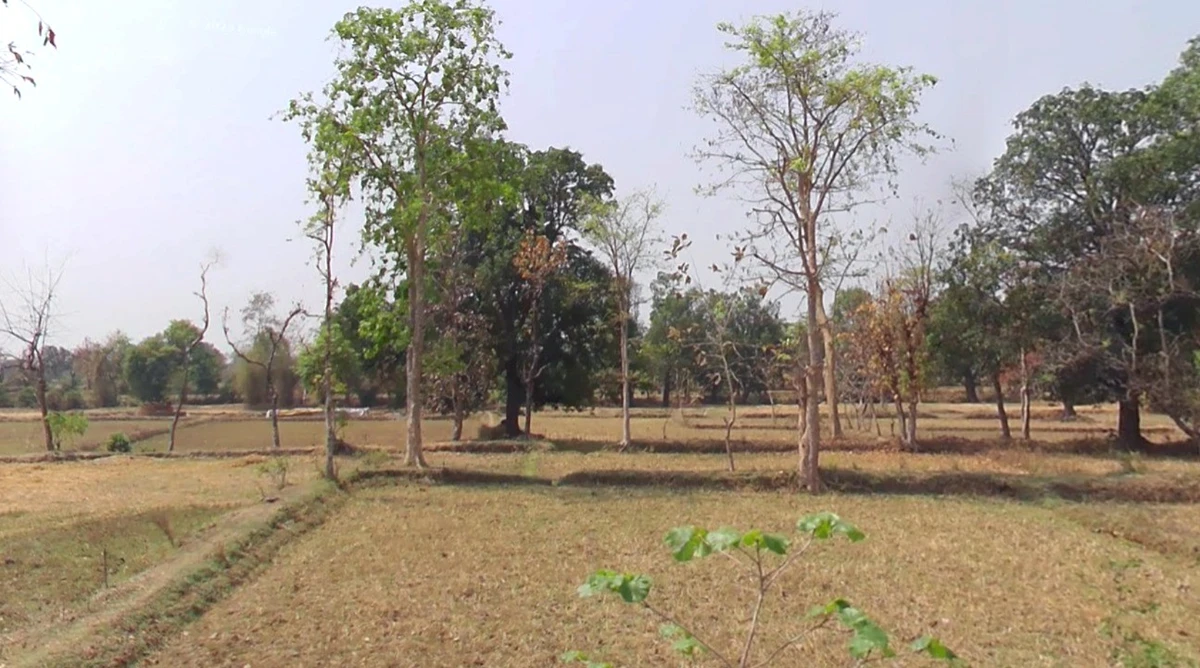 Badgaon, Madhya Pradesh, India