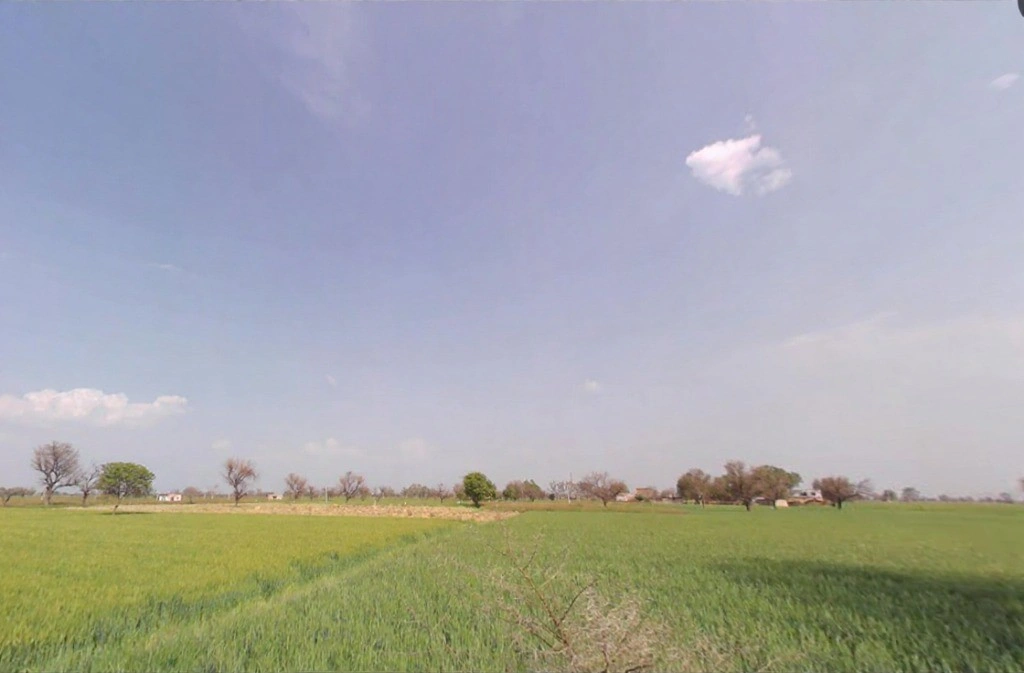 Gandoora, Rajasthan, India