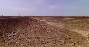 Nana Goraiya, Gujarat 363745, India preview 3