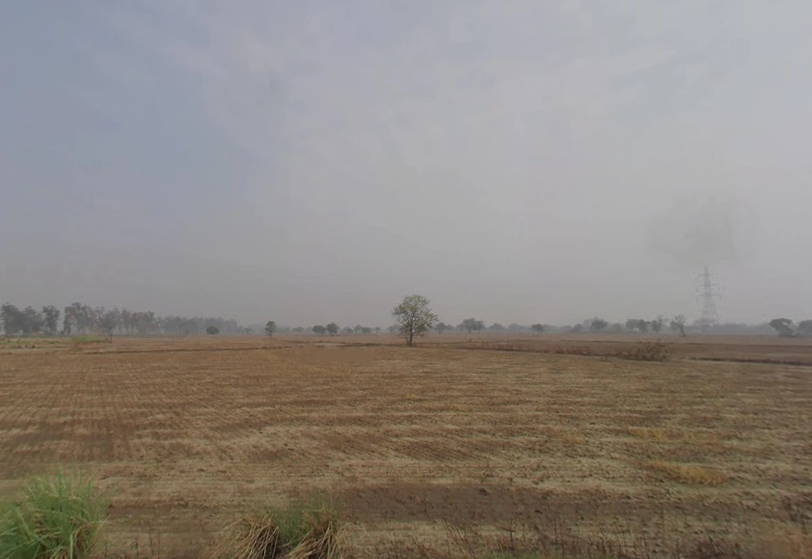 Sampla, Haryana 124501, India