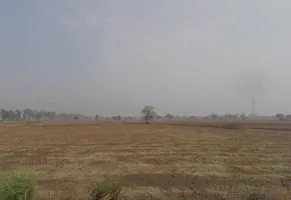 Sampla, Haryana 124501, India preview 2