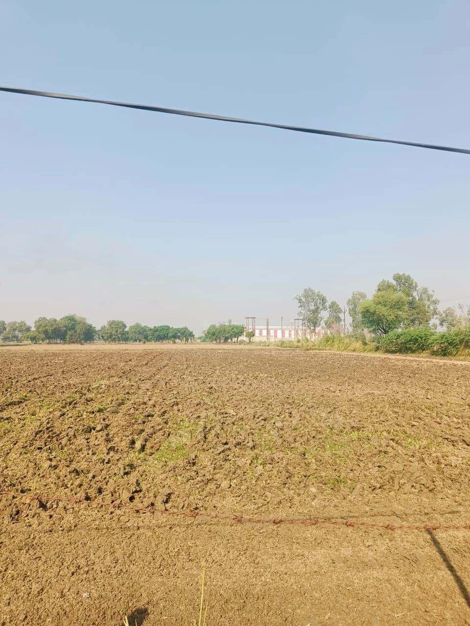 Basai, Mathura, Uttar Pradesh 281501, India - Photo 3