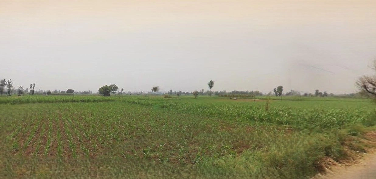 Lalganj, Uttar Pradesh 229206, India