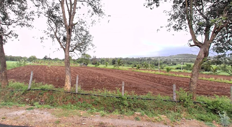 Begurjungle, Karnataka 571116, India preview 2