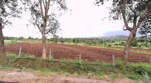 Begurjungle, Karnataka 571116, India preview 2