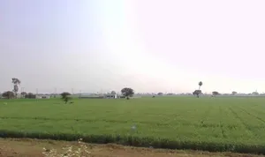 Vidisha, Madhya Pradesh 464001, India preview 3