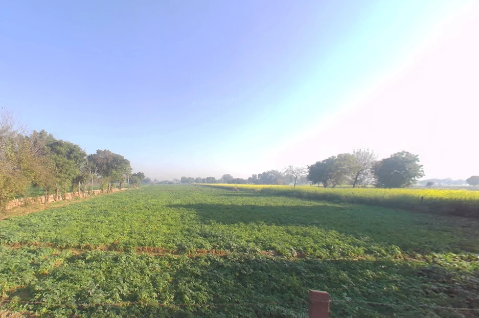 6V7R+GMG, Panwari Rd, Sikandra, Agra, Panwari, Uttar Pradesh 282007, India