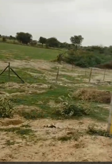 PPJQ+HCG, Mathura, Tentigaon, Uttar Pradesh 281202, India