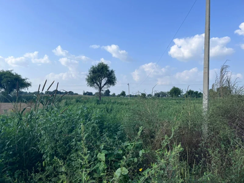 WH3F+G74, Khedaro Ki Dhani, Rajasthan 333022, India preview 3