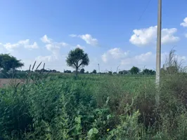 WH3F+G74, Khedaro Ki Dhani, Rajasthan 333022, India preview 3