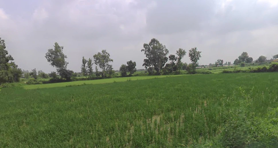 Khurja, Uttar Pradesh 203131, India