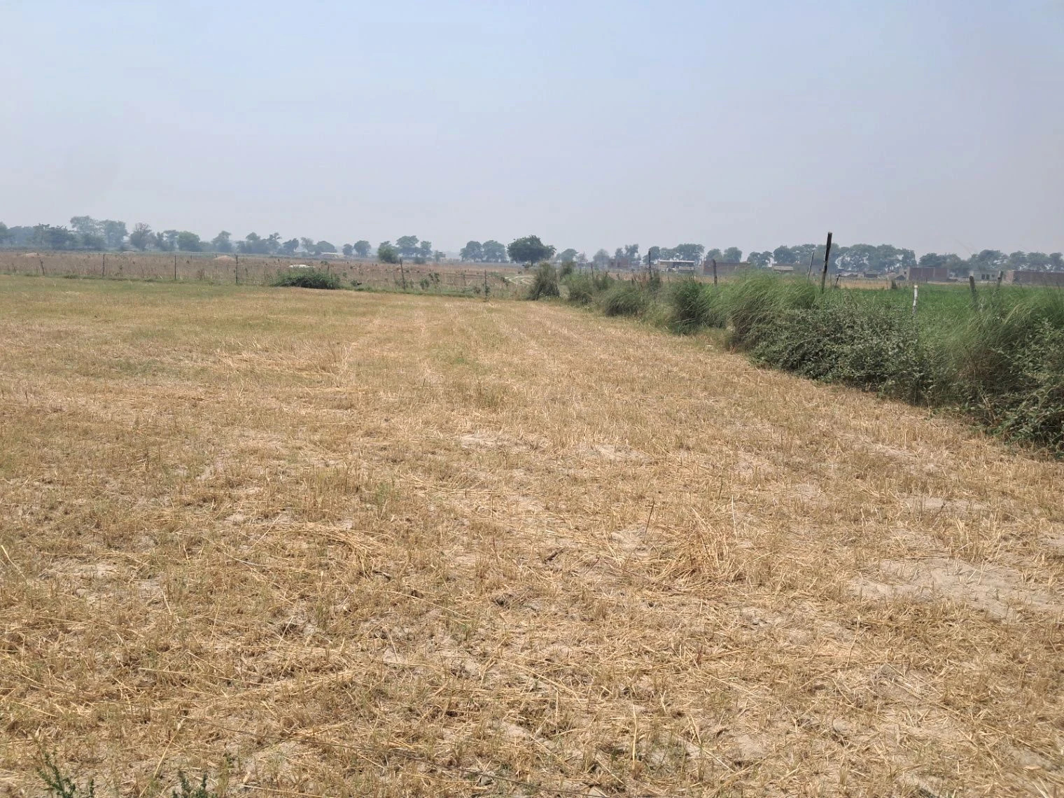 P68W+32 Samaha Kala, Uttar Pradesh, India