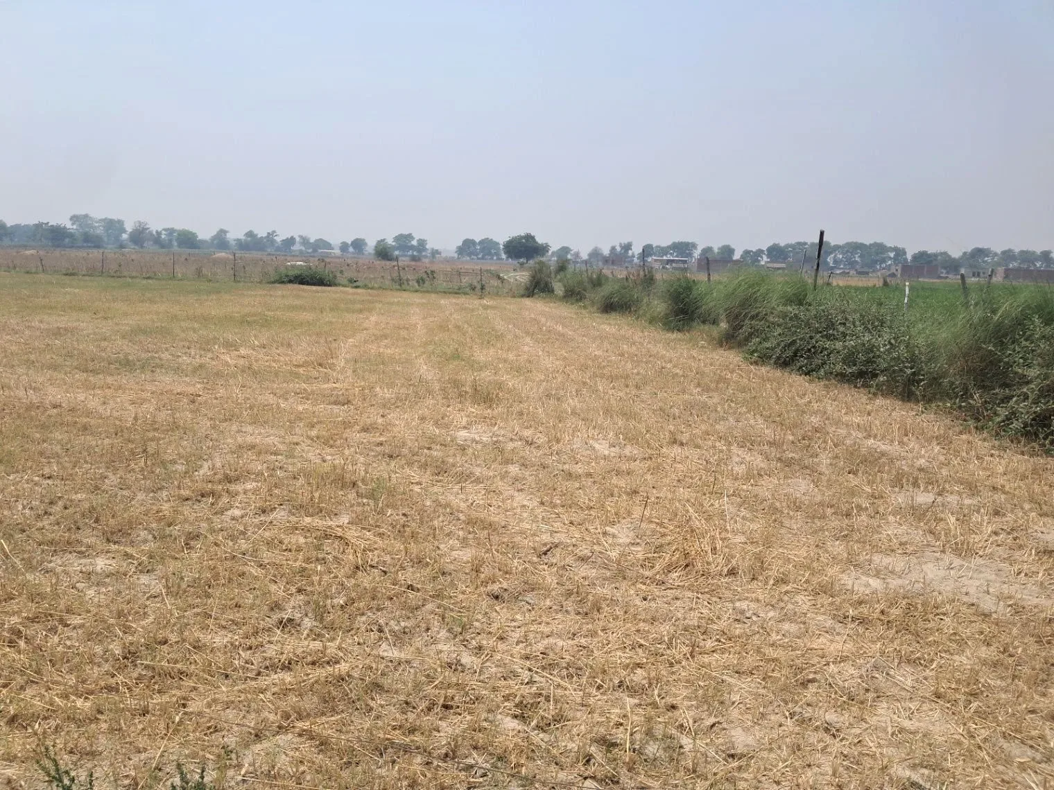P68W+32 Samaha Kala, Uttar Pradesh, India