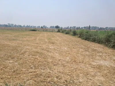 P68W+32 Samaha Kala, Uttar Pradesh, India preview 3