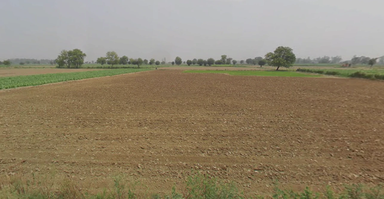 Butana, Haryana 131302, India