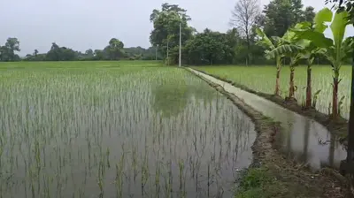 Gola Gokaran Nath, Kheri, Uttar Pradesh 262802, India preview 2