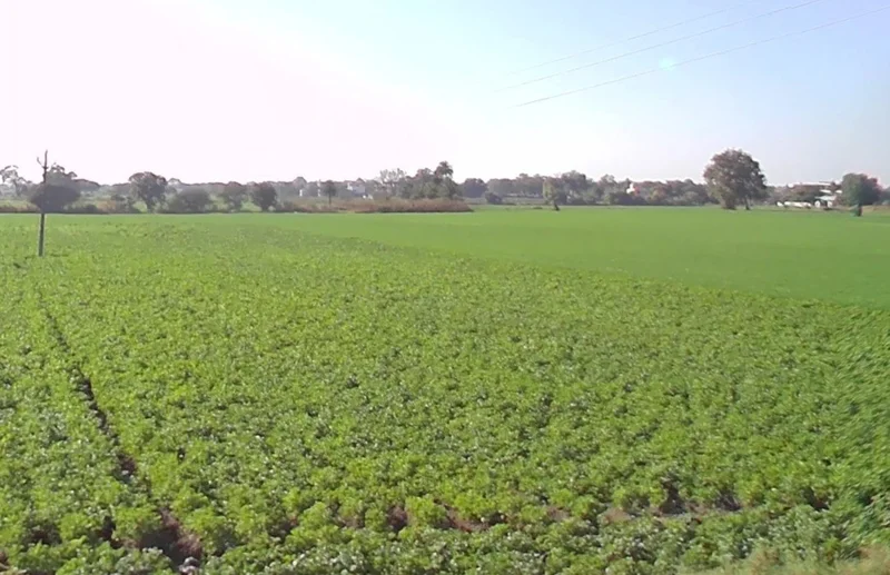 Indore, Madhya Pradesh, India preview 3