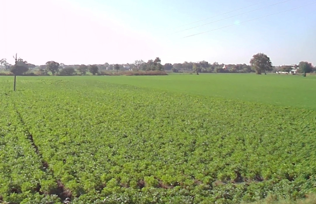 Indore, Madhya Pradesh, India