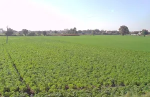 Indore, Madhya Pradesh, India preview 3